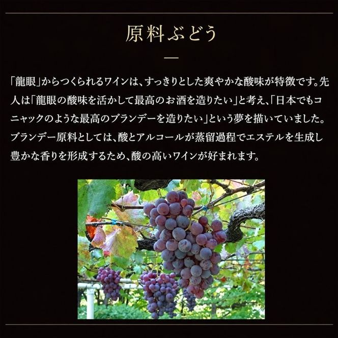 ソラリス ブランデー 龍眼 1989 700ml×1本 マンズワイン ご当地 取り寄せ お酒 アルコール 長野県 小諸市