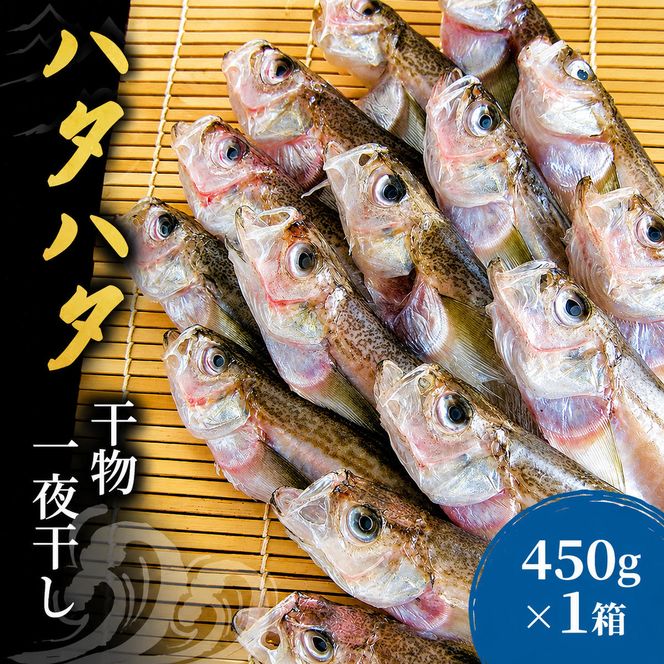 ハタハタ（特々大）干物 一夜干し 450g ×1箱【配送不可：離島】 魚貝類 myz02 myz11 myz17