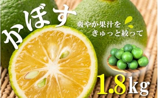 【先行予約】素材を活かす名脇役 大分県産かぼす1.8kg_2254R