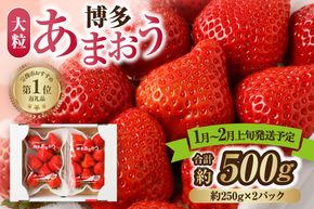 【先行予約】【アフター保証】大粒セレクト！大人気のあまおう 約250g×2パック【1月～2月上旬発送】【ほたるの里】_HA0276