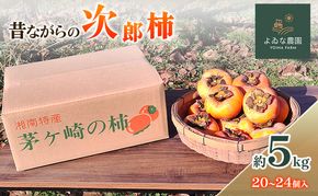 茅ヶ崎市 昔ながらの次郎柿 約5kg (20～24個入り) よゐな農園 柿 かき カキ 次郎柿 果物 くだもの フルーツ 神奈川県 茅ヶ崎市