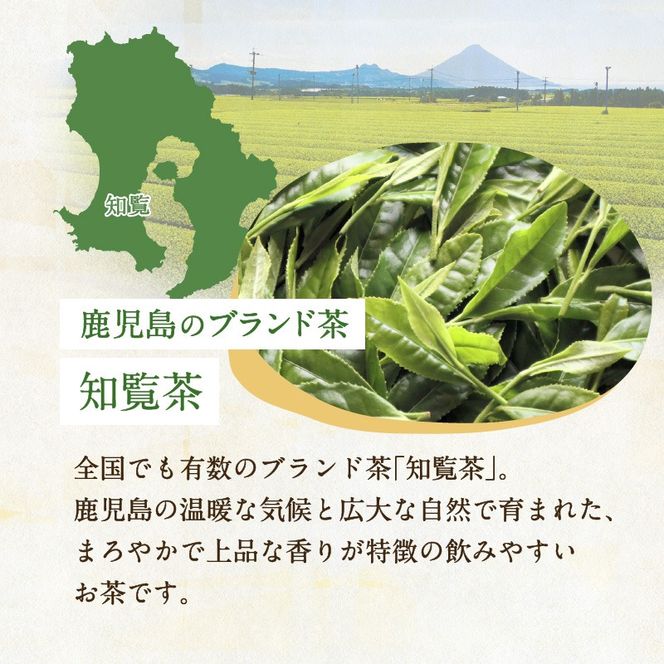 【5営業日以内に発送】やぶきた知覧茶30パック　K111-003