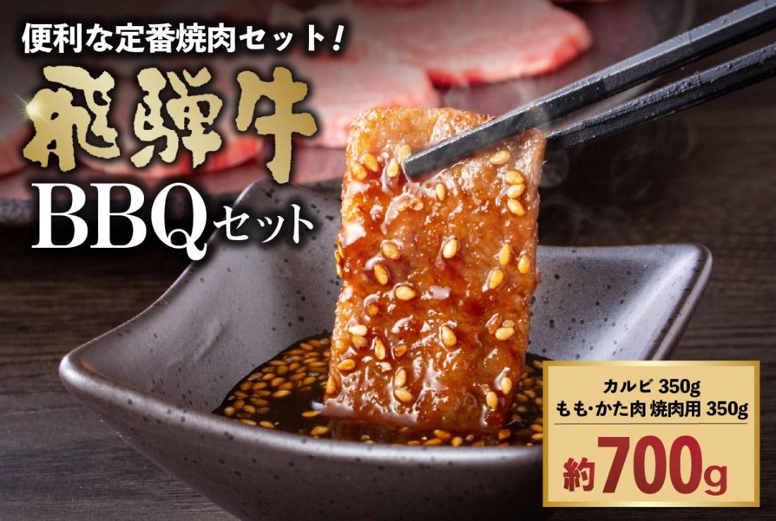 飛騨牛BBQセット ・カルビ350g ・もも かた肉 焼き肉用350g[0016-022]