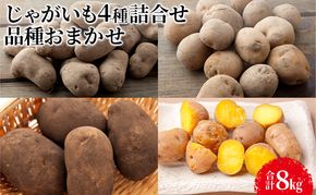 【先行予約】じゃがいも4種詰合せ（品種おまかせ合計8kg）【十勝幕別 北海道ホープランド農場】 野菜 セット 