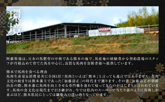 中トロ馬刺し300g 馬さし お肉 馬肉 刺身 刺し身 馬刺し 馬刺しブロック 馬刺し冷凍 おかず おつまみ 熊本県 八代市