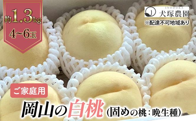 固めの桃 2026年 先行予約 ご家庭用 岡山 の 白桃 （晩生種）約1.3kg 4～6玉 岡山県 フルーツ もも 桃 モモ ピーチ 人気 新鮮 フルーツ 桃 もも 桃 モモ 訳あり くだもの 桃 もも 果物 フルーツ 桃 もも 