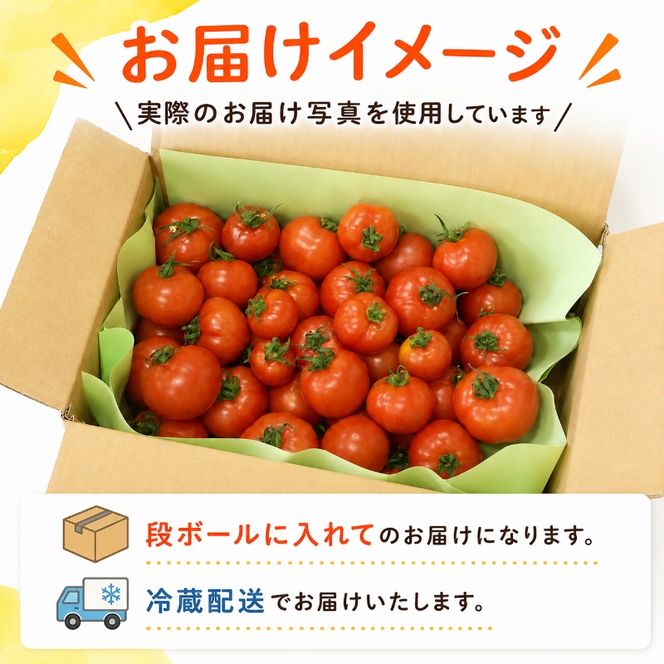 機能性表示食品 Hapitoma ハピトマ 訳あり（1.8kg）【配送不可：北海道・沖縄・離島】健康 ヘルシー GABA 人気 厳選 袋井市 野菜 トマト ミニトマト ストレス リコピン コレステロール 規格外品 新鮮 