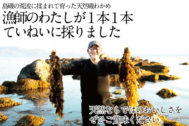 風味豊かな 瀬戸内 わかめ 22g×9袋 エビス水産【岡山 瀬戸内海 天然 カットわかめ】 常備菜 無添加 無着色 味噌汁 炊き込み 