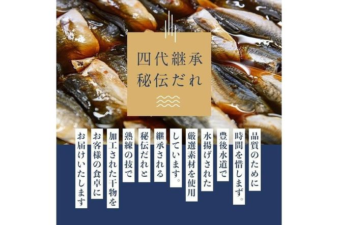四代続く秘伝のたれ みりん干しセット (合計5種・24枚以上×隔月6回) 定期便 干物 魚 鯵 鯖 みりん かます 醤油 食べ比べ おかず 国産 詰め合わせ セット さばみりん あじみりん おつまみ 朝食 大分県 佐伯市 【FT03】【田辺海産】