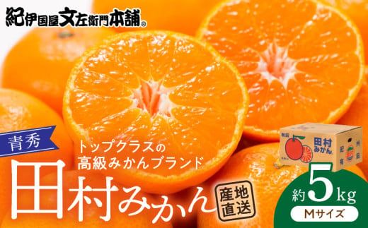 V7448_【2026年先行予約】田村みかん／5kg青秀【Mサイズ】