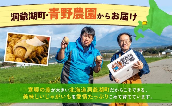 北海道産 青野農園 じゃがいも とうや Lサイズ 約10kg 2026年10月初旬～12月下旬頃お届け 先行予約 北海道 ジャガイモ トウヤ 馬鈴薯 ポテト 芋 いも イモ 黄色 旬 野菜 農作物 産地直送 お取り寄せ 国産 