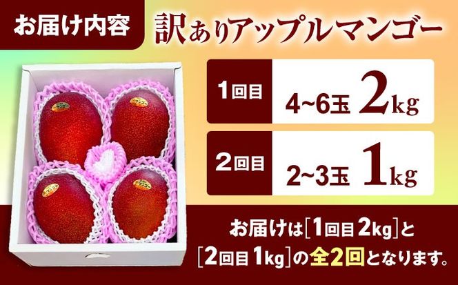 【全2回】太陽の恵み マンゴーご褒美便 (総計3kg) マンゴー 2026 沖縄 果物 フルーツ ギフト 沖縄市 / 仲村農園[BCZZ052]