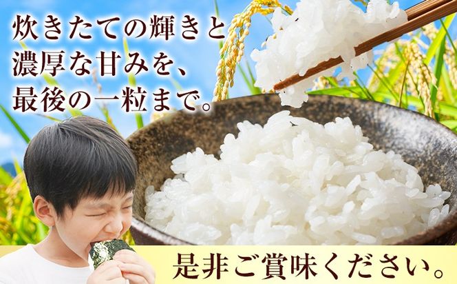 お米 ミルキークイーン 約5kg 山﨑農園 《30日以内に出荷予定(土日祝除く)》 和歌山県 日高川町 米 お米 ご飯 おにぎり---wshg_ysk2_30d_26_18000_5kg---