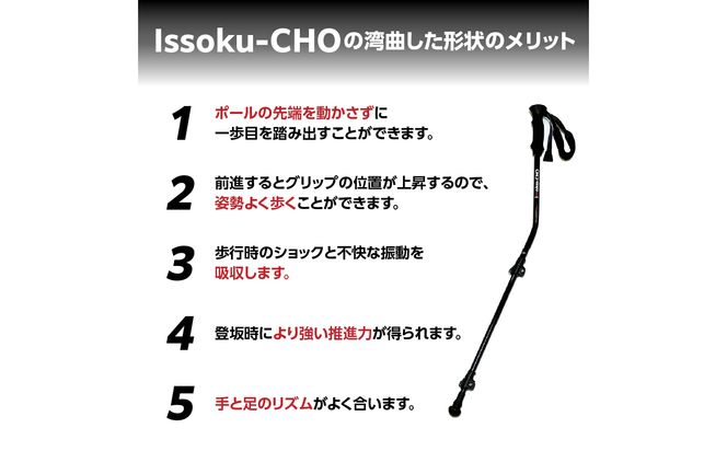 【R17029】ウォーキングポール Issoku-CHO（1足長） CL（カムレバー式） オールブラック 1本