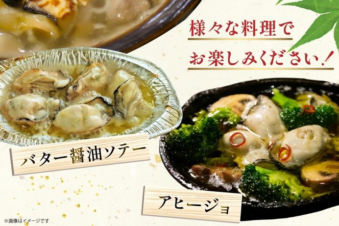 【期間限定発送】 訳あり 牡蠣 むき身 【加熱用】 500g×1p (約25‐40個入) [住喜水産 宮城県 気仙沼市 20566373] 冷蔵 新鮮 濃厚 真牡蠣 カキ かき 魚貝類 貝 海鮮 魚介類 なべ カキフライ 牡蠣ご飯 魚介