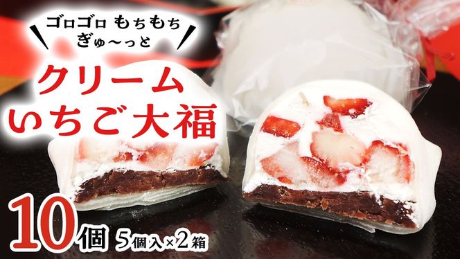 y錧}szy َq z N[  啟 10 ( 5 × 2 )   XC[c 啟  C`S   t[c ʕ aَq َq َq Qq  [AY012ci]