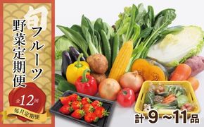 【毎月お届け】むなかた旬のお任せセット（野菜・フルーツ）9～11品【JAほたるの里】_HB0175