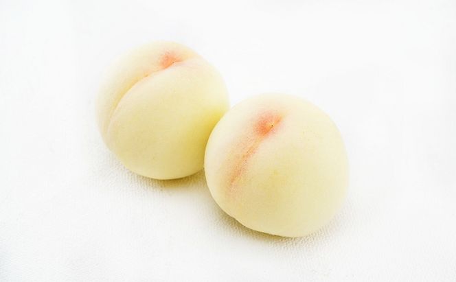 もも ぶどう 2026年 先行予約 詰合/白桃 2玉(1玉220g以上)・ニューピオーネ1房(480g以上)・シャインマスカット 晴王 1房(480g以上) 化粧箱入り 岡山県産 国産 フルーツ 果物 ギフト