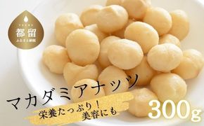 マカダミアナッツ300g    FB006