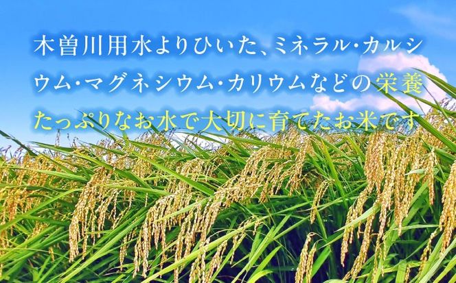 あいちのかおり　玄米　10kg　米　お米　ご飯　愛西市/脇野コンバイン[AECP011]