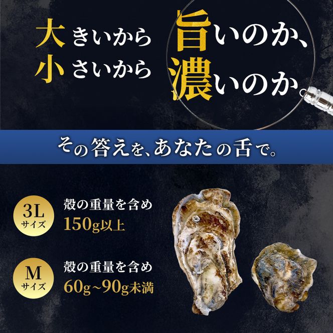 厚岸産 ブランド 殻付カキ マルえもん 生食用 サイズ食べ比べ 24個 (3L・M各12個)[ 魚貝類 生牡蠣 かき 牡蠣 カキ 生ガキ 食べ比べ ]