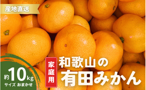 【1月発送】家庭用  有田みかん 和歌山  S～Lサイズ 大きさお任せ 10kg / みかん フルーツ 果物 くだもの 有田みかん 蜜柑 柑橘【ktn008A-1】