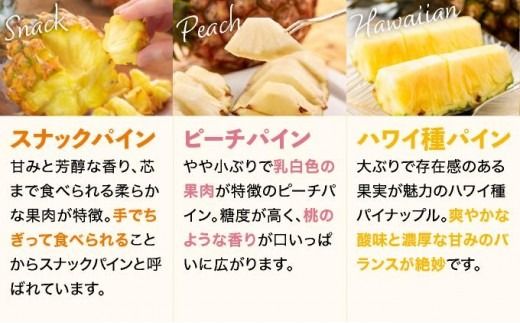 【訳あり】 石垣島産 パイナップル 詰め合わせ 約8kg (6～20個)《2026年4月下旬発送》 KP-16