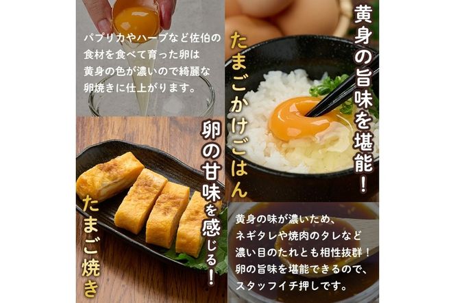 ＜定期便・全12回＞産直・平飼い有精卵 (総計360個・30個×12回(毎月発送)) 卵 玉子 卵かけご飯 玉子焼き 平飼い 鶏 鶏卵 養鶏場直送 朝採れ 新鮮 大分県 佐伯市 【HM05】【佐伯養鶏場】