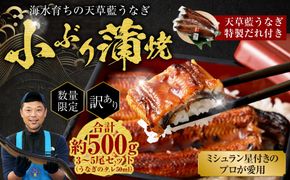 【数量限定】 【訳あり】 【ミシュラン星付きのプロが愛用】海水育ちの 天草 藍うなぎ 小ぶり 蒲焼 500g（3～5尾）  養殖期間中 無投薬 鰻 ウナギ うなぎ うなぎ蒲焼 鰻の蒲焼 国産 【2026年6月下旬より順次発送予定】