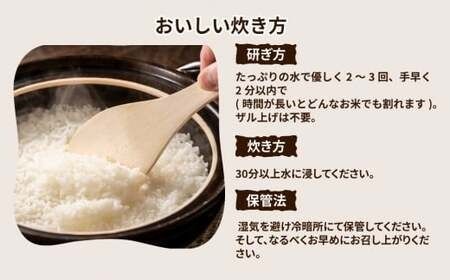 【定期便 3ヶ月】令和7年産　茨城県産 ミルキークイーン 精米20kg（5kg×4袋）　※離島への配送不可 ※2025年10月上旬頃より順次発送予定