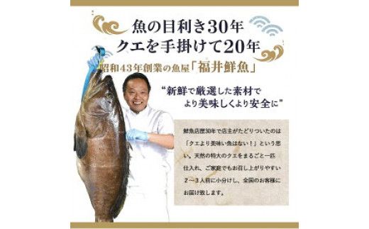 R1002_天然 クエ鍋 500g くえ鍋セット 幻の魚 魚 くえ鍋専門店 鍋用 上品 安定の品質 和歌山 湯浅町 