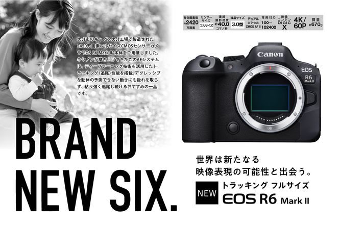 【R14150】キヤノンミラーレスカメラ EOS R6 Mark Ⅱ