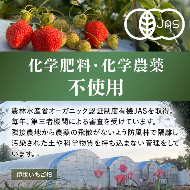 プレミアムオーガニックあまおう 「いせいちご」 スペシャルギフト【伊世いちご畑】_HA0480