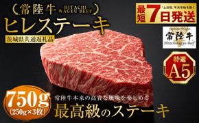 【常陸牛特選A5】ヒレステーキ250g×3枚（茨城県共通返礼品）