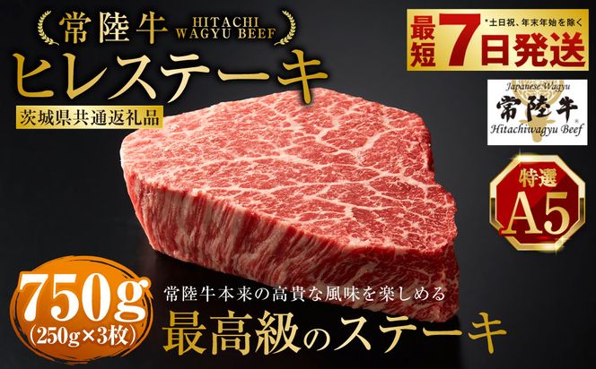 【常陸牛特選A5】ヒレステーキ250g×3枚（茨城県共通返礼品）