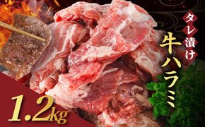 【訳あり】 タレ漬け 牛ハラミ 1.2kg 4P 肉 牛 牛肉 ハラミ 味付け タレ ハラミ肉 BBQ バーベキュー 焼き肉 焼肉 焼肉セット アウトドア キャンプ ギフト 真空 パック 小分け 300g 個包装 簡単 便利 冷凍 人気 京都 南丹市 神戸 ミートフーズ