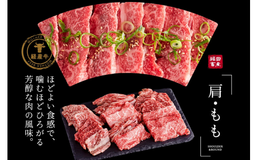 【累計2万パック突破！】但馬牛経産牛「焼肉用」（肩・モモ）1kg(500g×2) 020AA11N.／焼肉セット 黒毛和牛 いちかわ精肉店 経産牛 牛肉 肉 お肉 国産 bbq バーベキュー 焼き肉セット アウトドア キャンプ 冷凍 焼き肉用