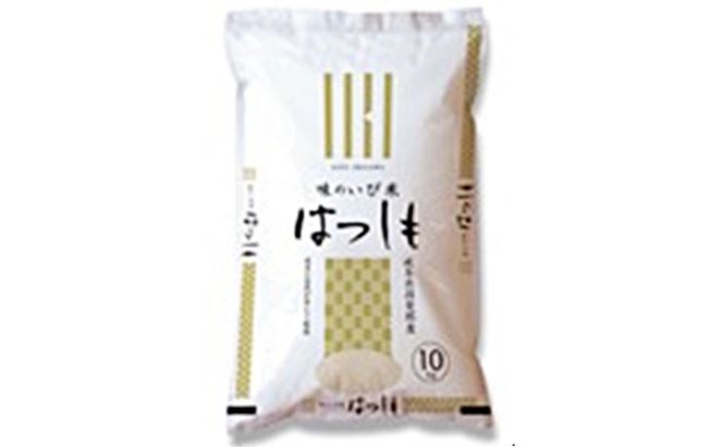 岐阜県揖斐郡産 味のいび米 はつしも 精米30kg お米 
