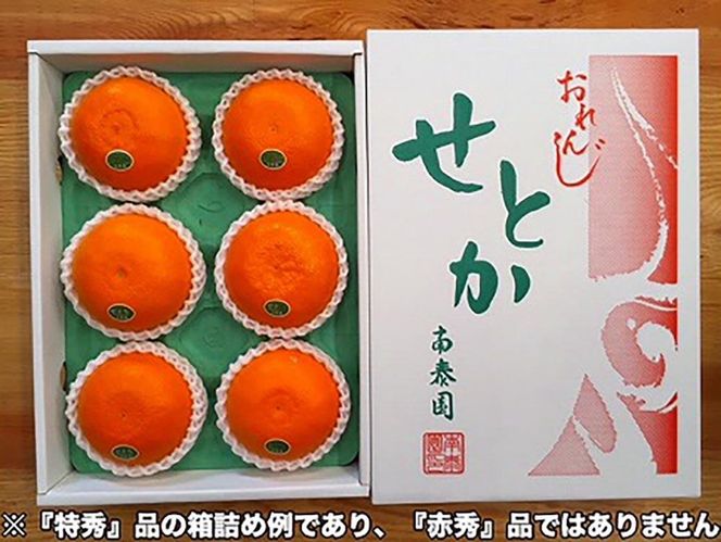 ちょっと 傷あり 柑橘の大トロ ハウス せとか 大玉 6 ～ 8玉入 化粧箱 南泰園 BS130