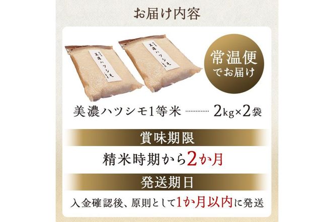 2025年産米　美濃ハツシモ　１等米４kg（２kg×２袋）【0021-006】