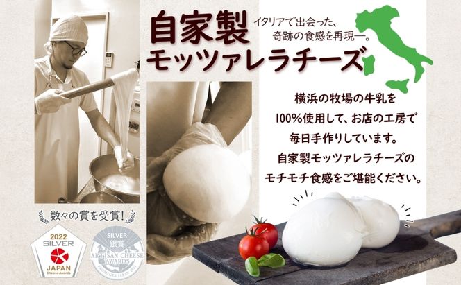 モッツアレラチーズ 100g×2個セット