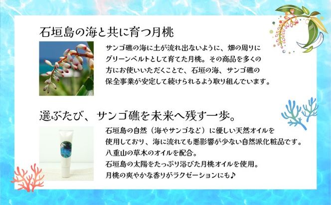 幸－美彩－さちちゅらいろ 島の日焼け止め（30g）OA-03