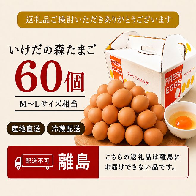 卵 わずか4%の希少な純国産鶏 いけだの森たまご 60個 こだわり おこめのたまご 玉子 鶏卵 生卵 産地直送 冷蔵配送 TKG 卵かけご飯 岐阜県産 