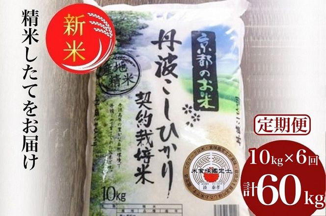 【定期便】令和7年産 新米 京都丹波米 こしひかり10kg×6回 計60kg◇◆◇ 米 6ヶ月 白米 6回定期便 ※精米したてをお届け コシヒカリ ※毎月1回又は2カ月に1回 ※北海道・沖縄・離島への配送不可