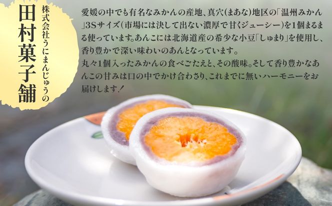 八寿みかん大福6個セット IKTK006