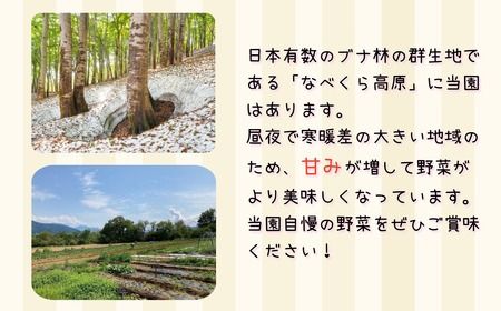 【期間限定】旬の野菜詰め合わせセット（中）(P-1.4)