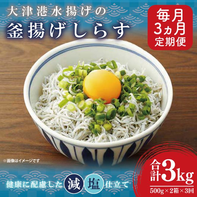 【定期便特別価格】大津港水揚げの釜揚げしらす＜3ヶ月定期便＞＜毎月＞　1kg×3回【海鮮 魚介類 しらす シラス ご飯のお供 たっぷり お手頃 個包装】(AS211)