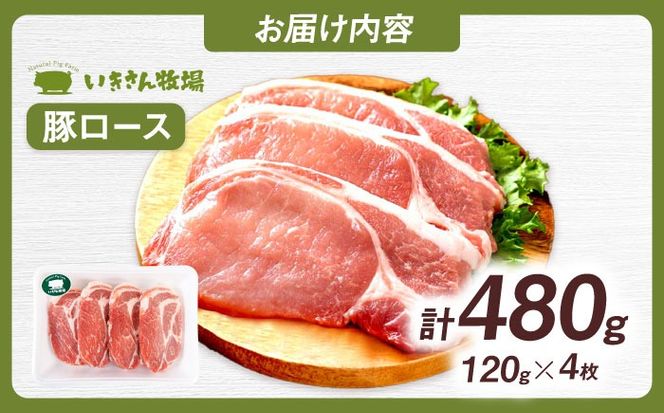 一貴山豚 ロースとんかつ・トンテキ用 計480g(120g×4枚) 糸島市 / いきさん牧場 豚肉 冷凍[AGB030] 豚肉 豚 ブランド豚 一貴山豚 ポーク ロース 生姜炒め ポークジンジャー