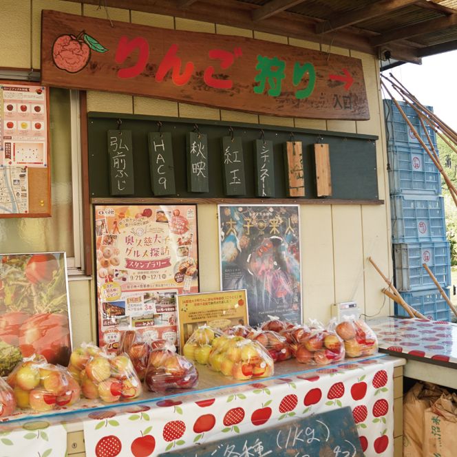 【数量限定/先行予約】奥久慈りんご「サンふじ」約3kg（6～14玉）【2026年11月上旬頃発送予定】斉藤りんご園第2直売所｜茨城県 大子町 樹上完熟 林檎 果物 フルーツ 旬 産地直送 （CG007-1）