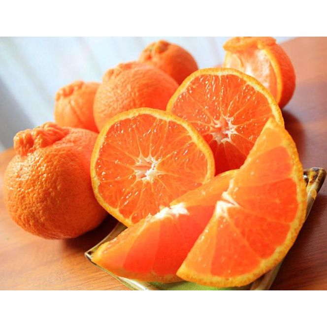 【ご家庭用訳有り】紀州有田産不知火(しらぬひ)約3kg